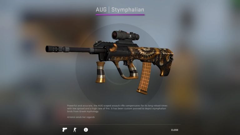Top 5 Best AUG Skins in CS:GO